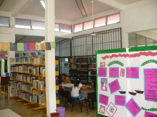 imagen3