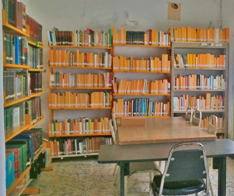 imagen1