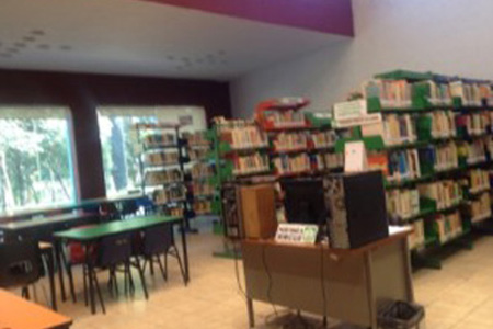 imagen2