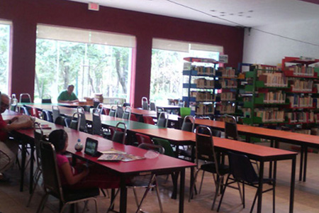 imagen1