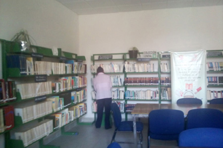 imagen3