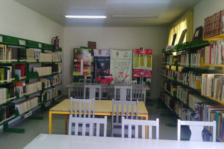 imagen3