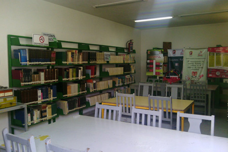 imagen3