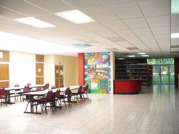 imagen2