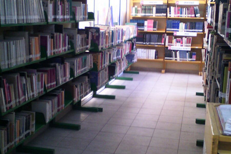 imagen2