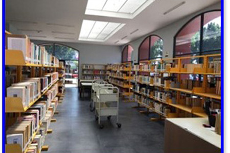 imagen3