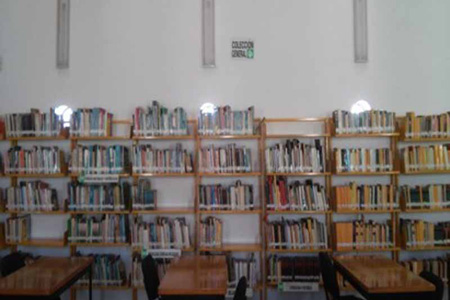 imagen3