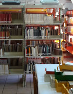 imagen1