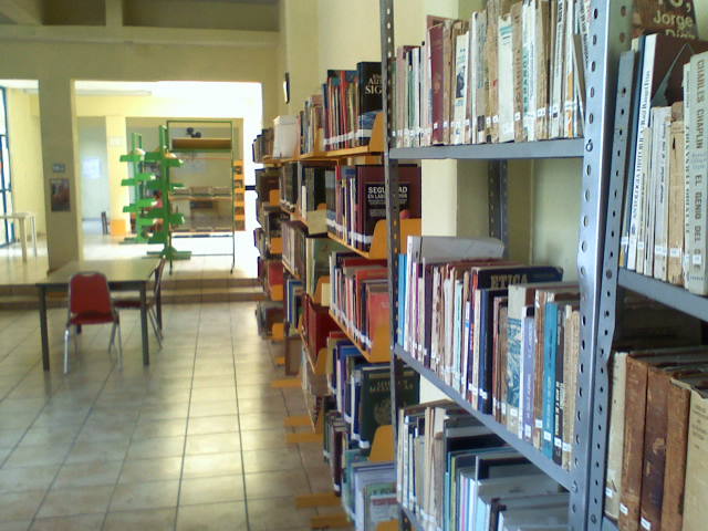 imagen3