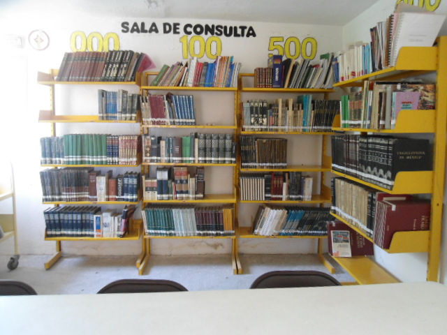 imagen3