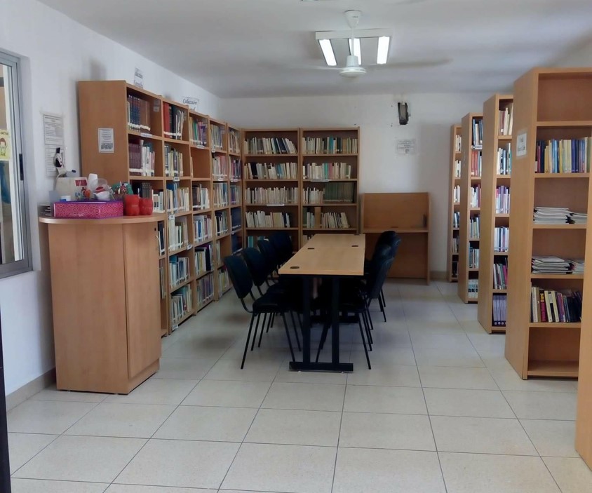imagen3