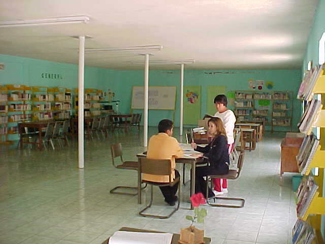 imagen3