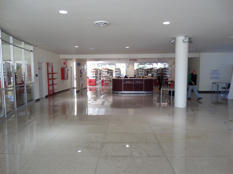 imagen1