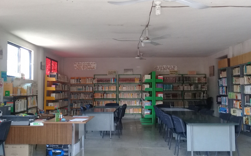 imagen3