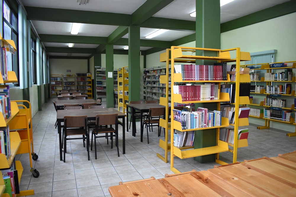 imagen2