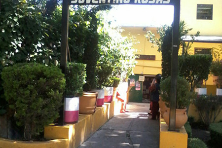 imagen1