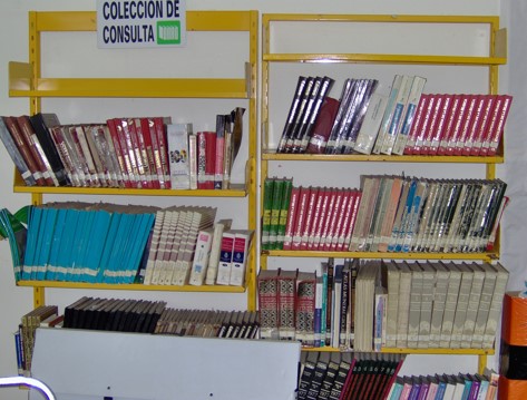 imagen3
