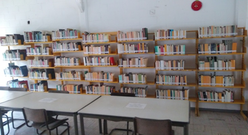 imagen2