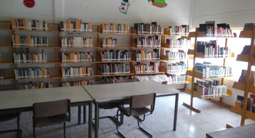 imagen1