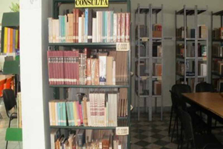 imagen2