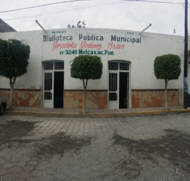 imagen1