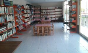 imagen3