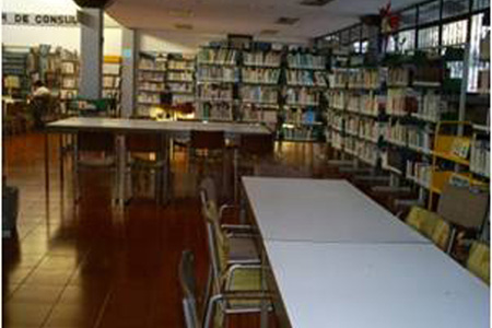 imagen1