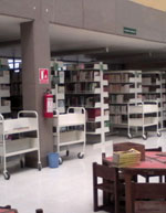 imagen2