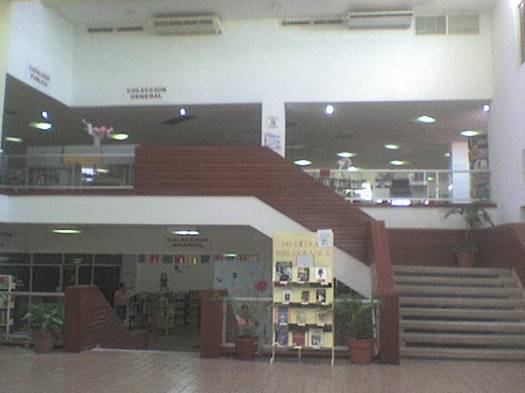 imagen1