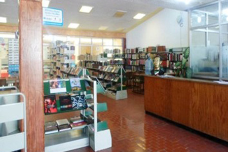 imagen3