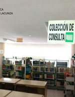 imagen1