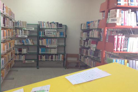imagen2