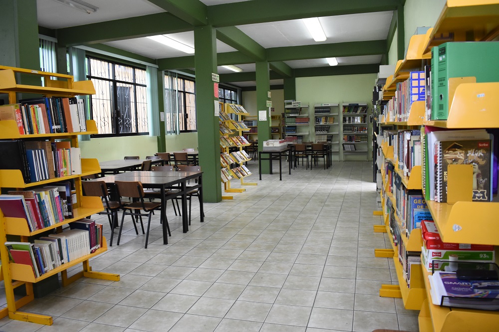 imagen3
