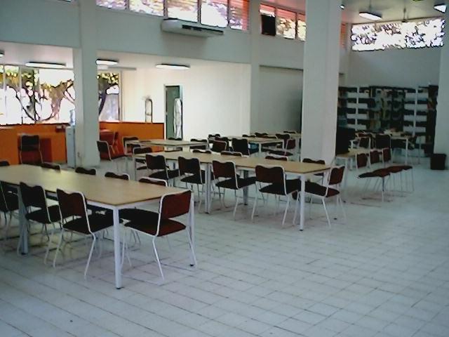 imagen3