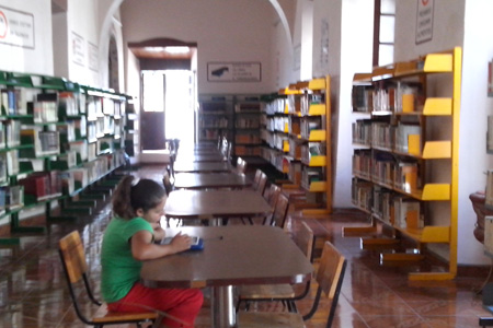 imagen1