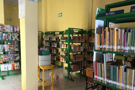 imagen1