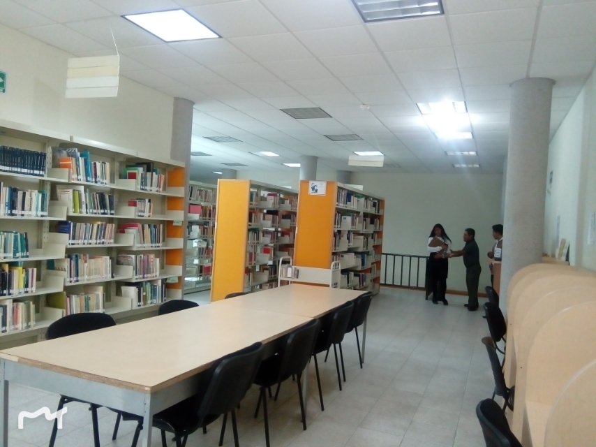 imagen1