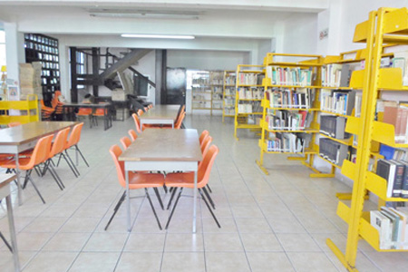 imagen3