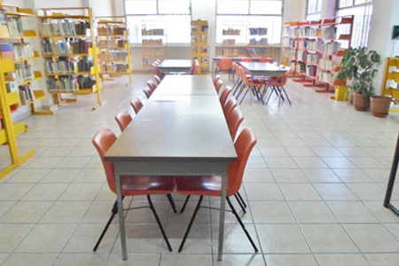 imagen3