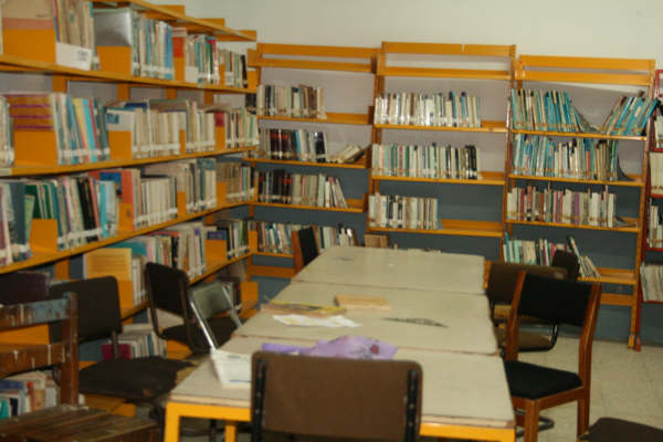 imagen3