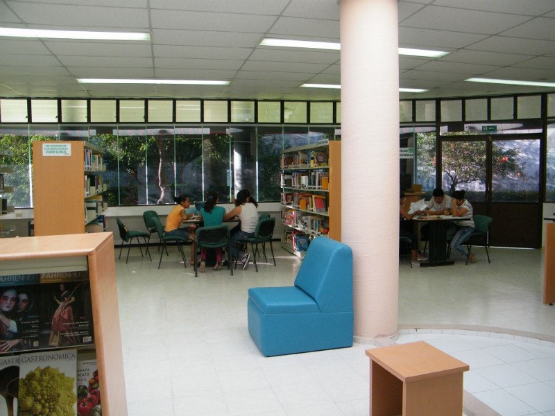 imagen3