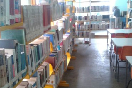 imagen3