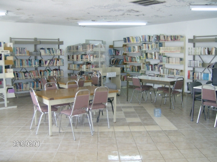 imagen3