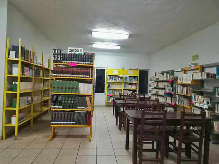 imagen3