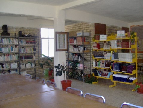 imagen2