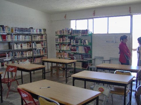 imagen3