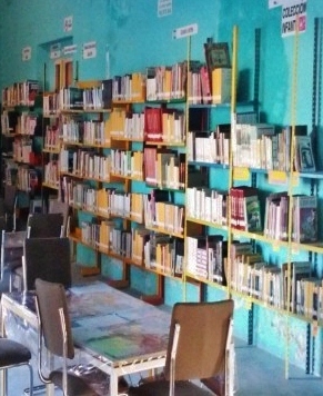 imagen2