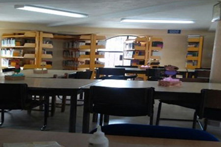 imagen1
