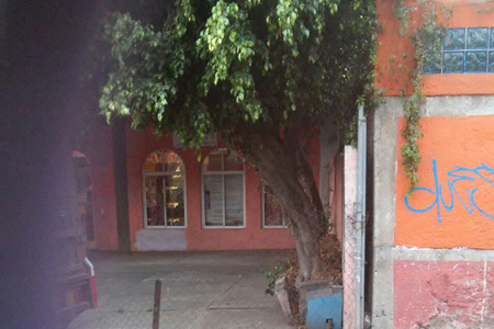 imagen1