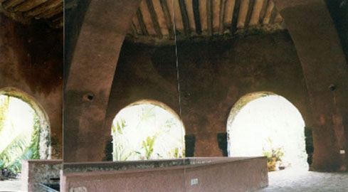imagen3